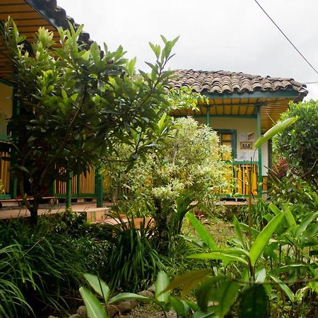 The Plantation House Travellers Hostel Salento Extérieur photo