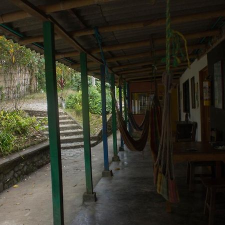 The Plantation House Travellers Hostel Salento Extérieur photo