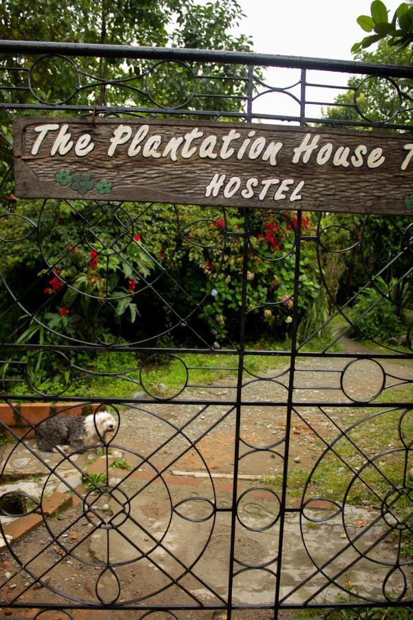 The Plantation House Travellers Hostel Salento Extérieur photo