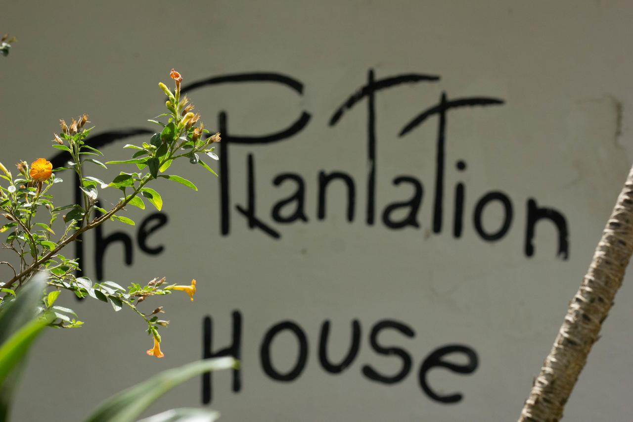 The Plantation House Travellers Hostel Salento Extérieur photo