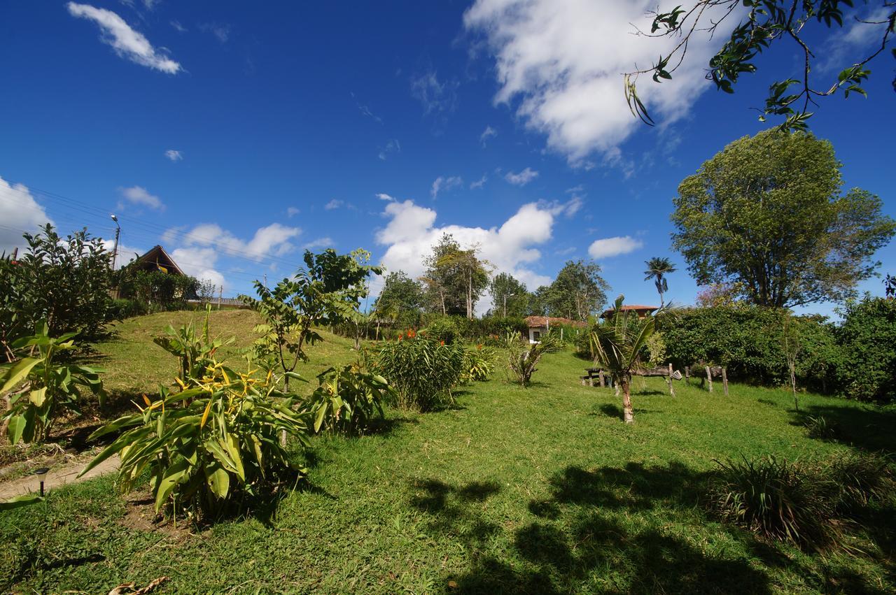 The Plantation House Travellers Hostel Salento Extérieur photo
